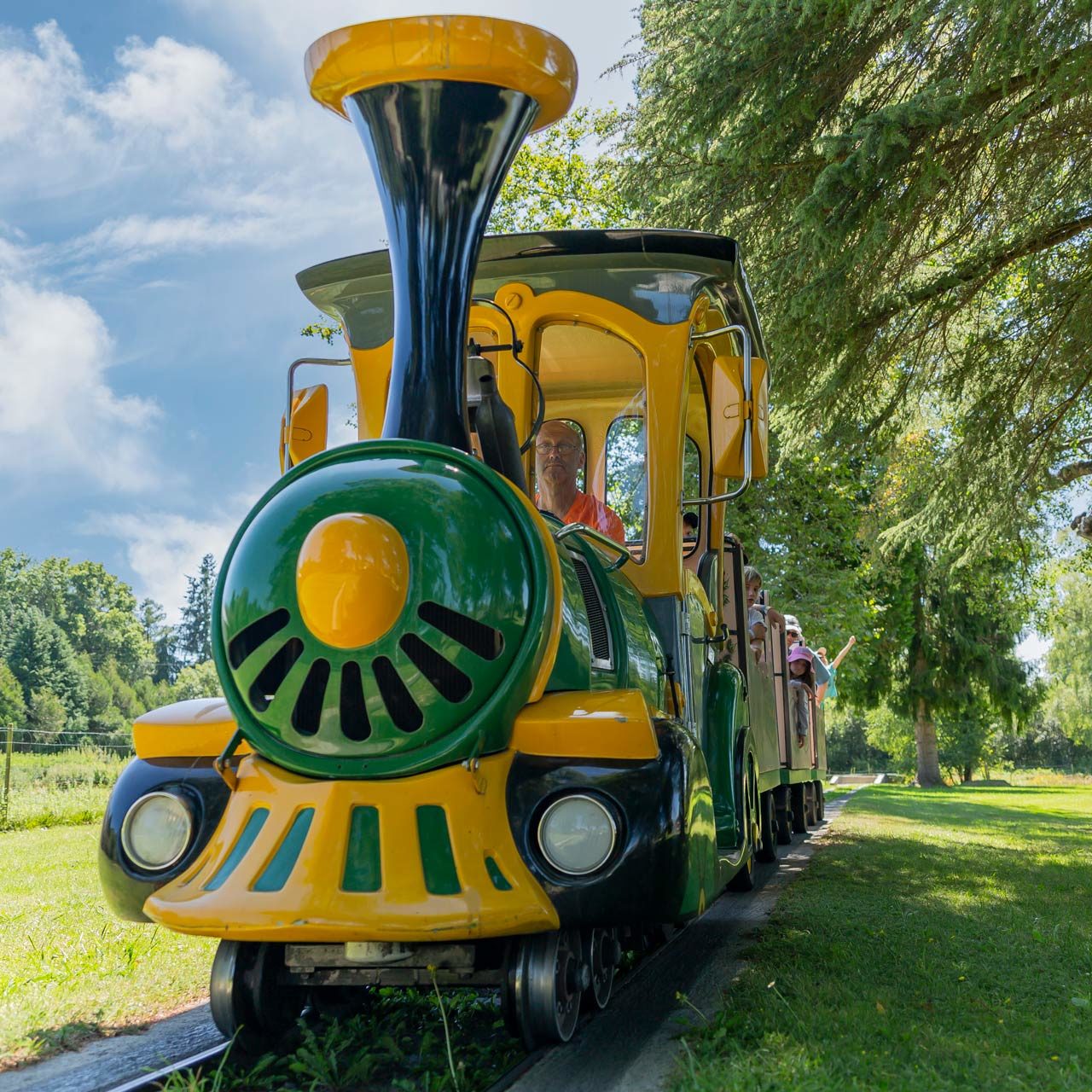 train